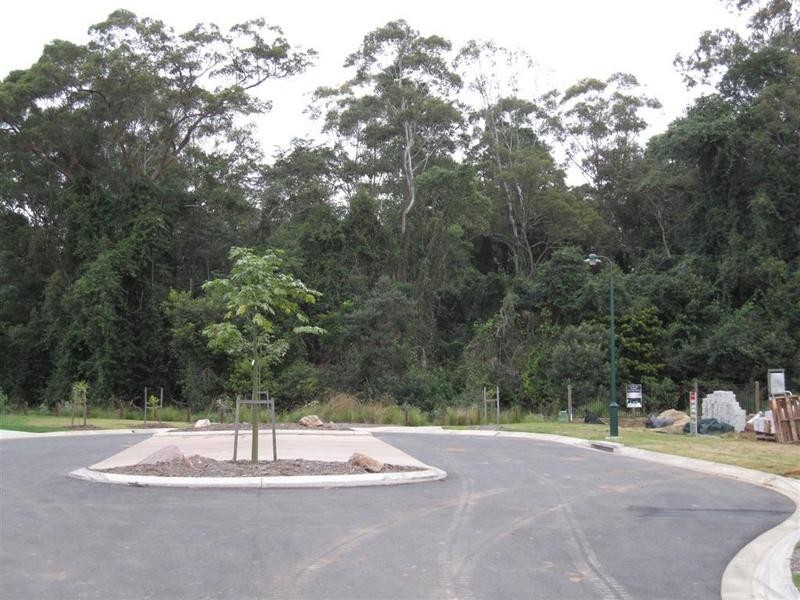 Lot 246 Brush Box Court, Beerwah QLD 4519