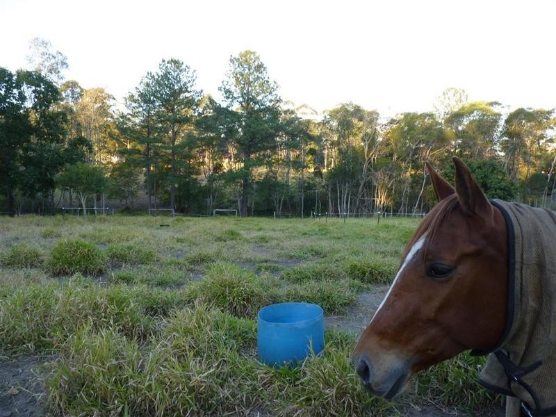 34 Storrs Road, Peachester QLD 4519