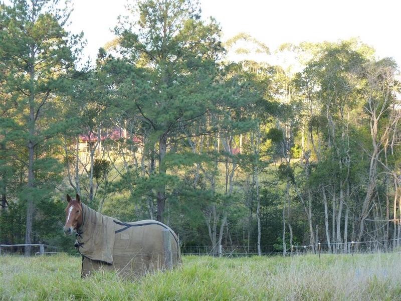 34 Storrs Road, Peachester QLD 4519