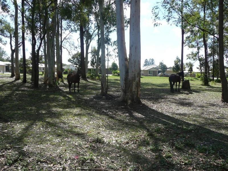 57 Coonowrin Road, Glass House Mountains QLD 4518
