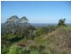 482 Landsborough-Maleny Road, Bald Knob QLD 4552