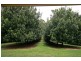 84 Reserve Lane, Peachester QLD 4519