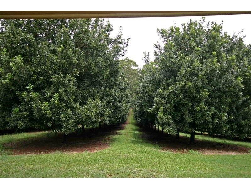 84 Reserve Lane, Peachester QLD 4519