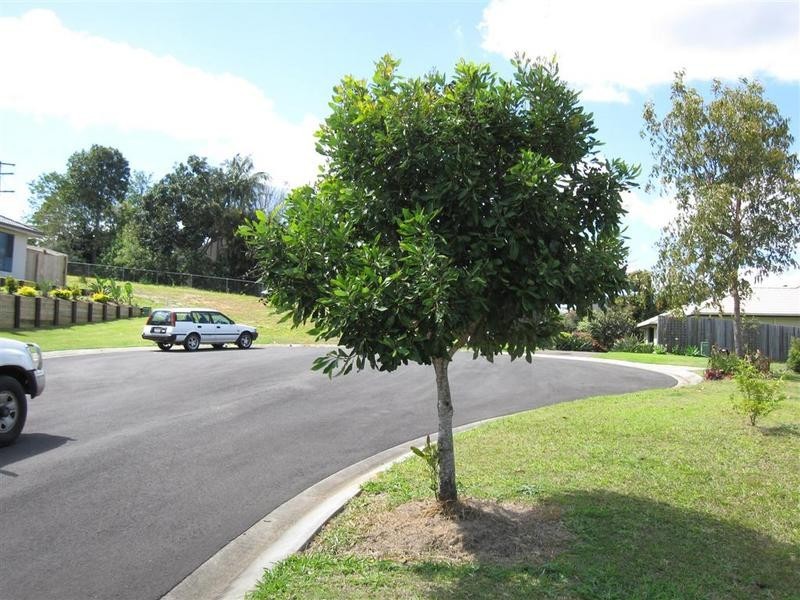 4 Cayenne Court, Glass House Mountains QLD 4518