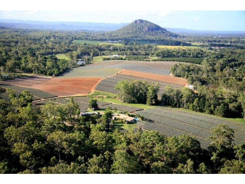 276 Barrs Road, Glass House Mountains QLD 4518