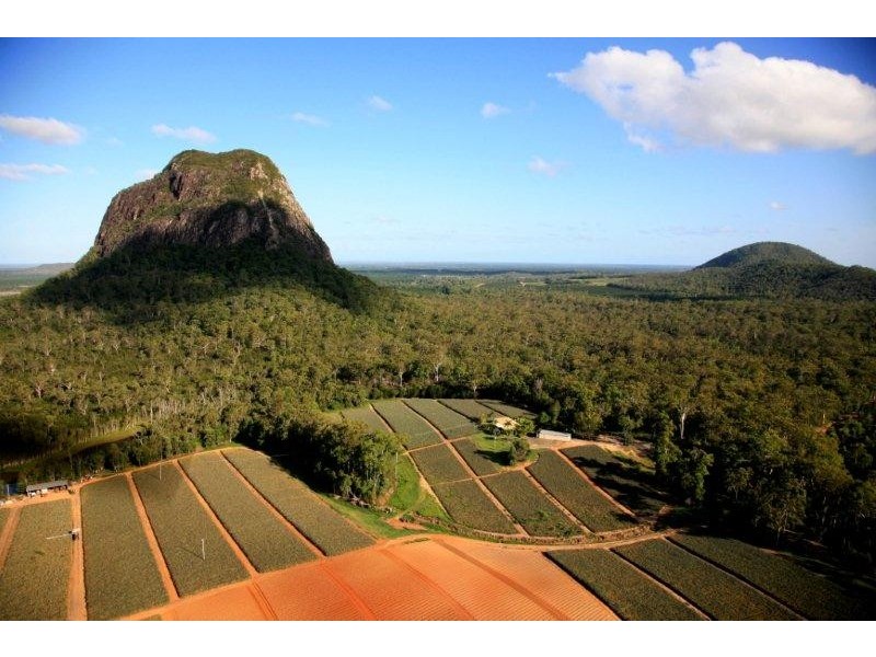276 Barrs Road, Glass House Mountains QLD 4518