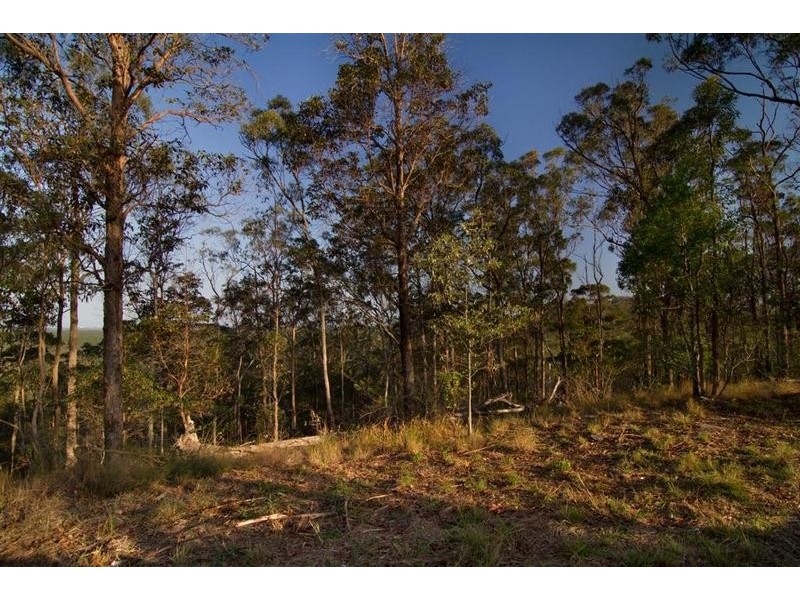 2314 Steve Irwin Way, Landsborough QLD 4550