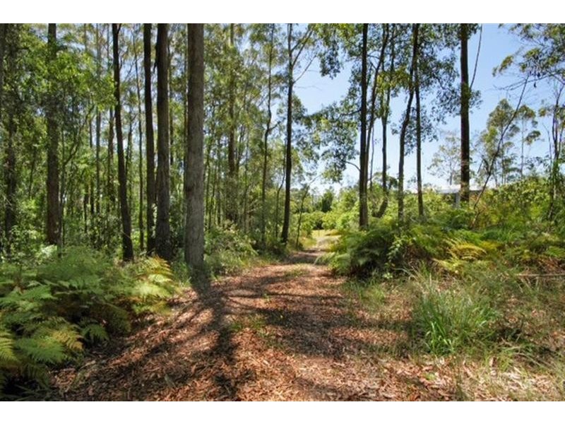 Lot 11 Storrs Road, Peachester QLD 4519