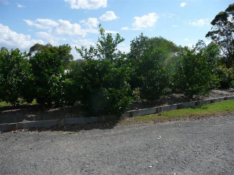 17 Harold Place, Peachester QLD 4519