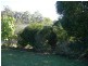 11 Buzaki Road North, Glass House Mountains QLD 4518