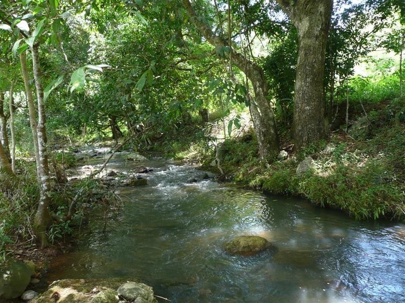 505 River Road, Peachester QLD 4519