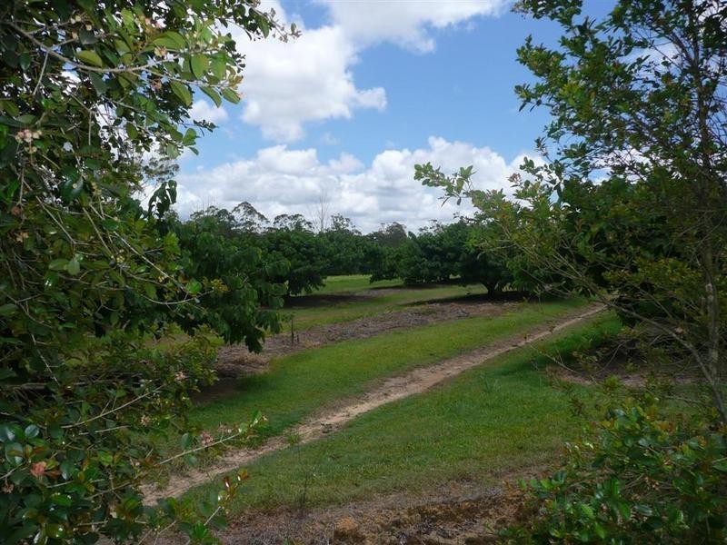 164 Pikes Road, Glass House Mountains QLD 4518