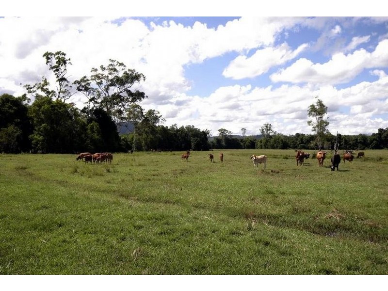 Lot 43 Phillips Road, Peachester QLD 4519