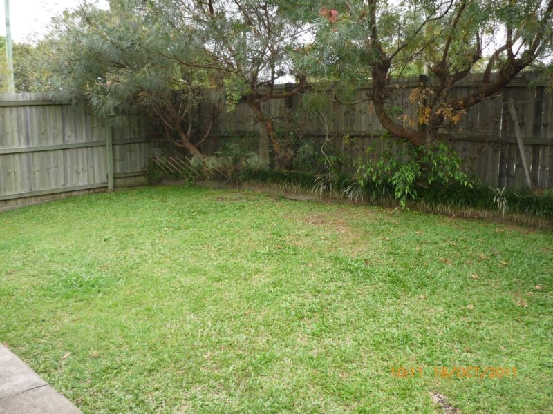 11 Laurel Street, Beerwah QLD 4519