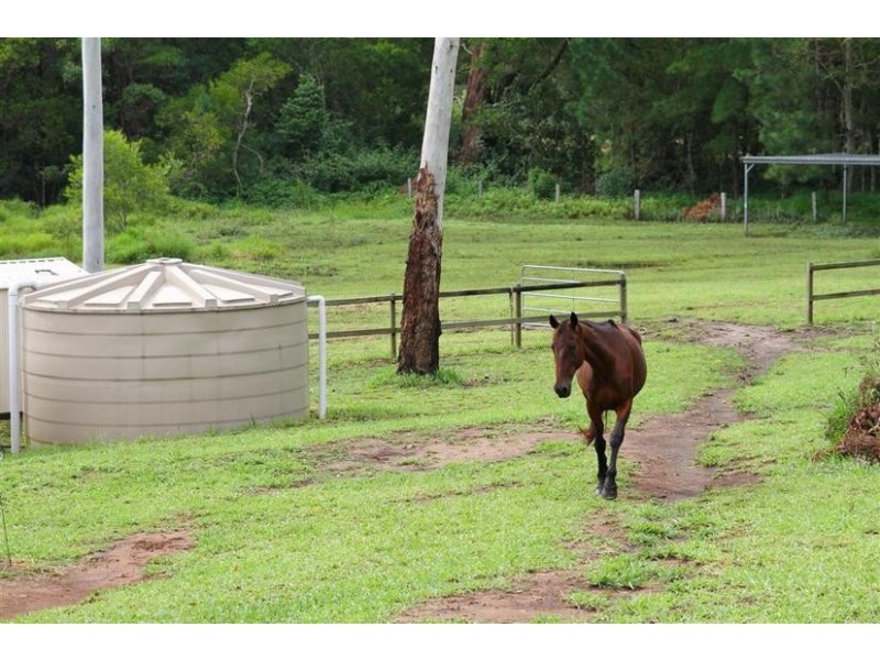 12 Sunbury Drive, Peachester QLD 4519