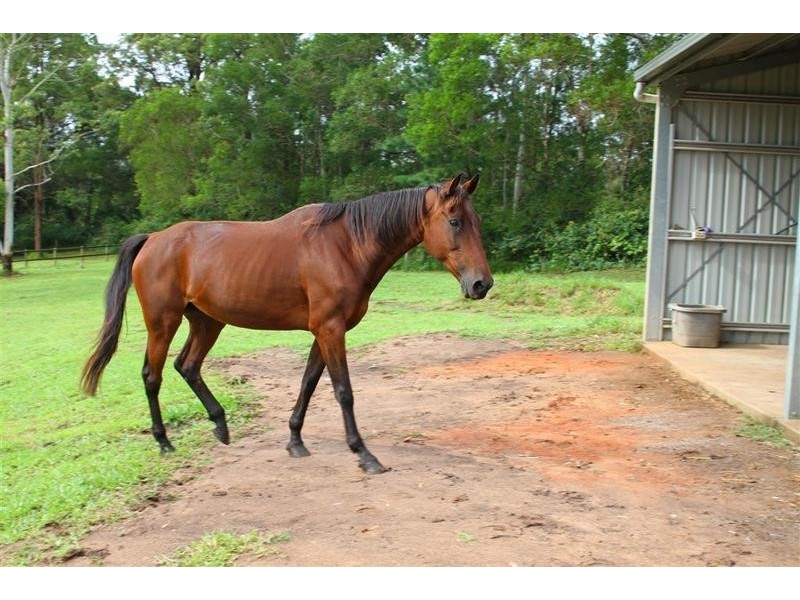 12 Sunbury Drive, Peachester QLD 4519