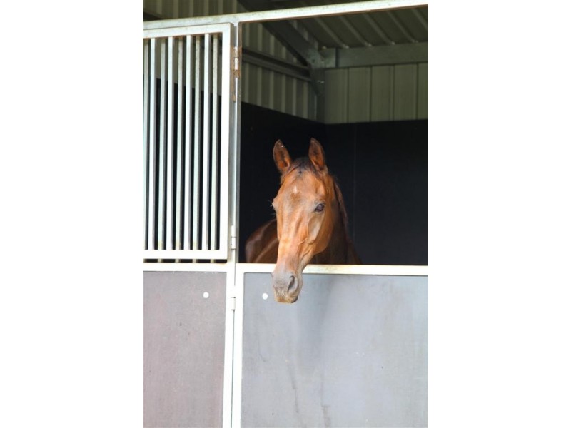 12 Sunbury Drive, Peachester QLD 4519