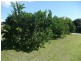 23 Clearview Drive, Glass House Mountains QLD 4518