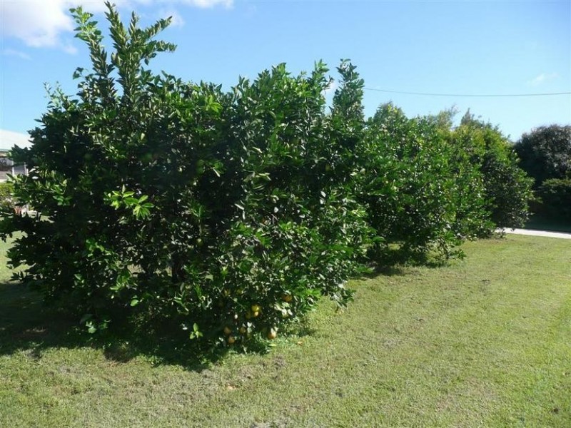 23 Clearview Drive, Glass House Mountains QLD 4518