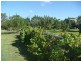 23 Clearview Drive, Glass House Mountains QLD 4518