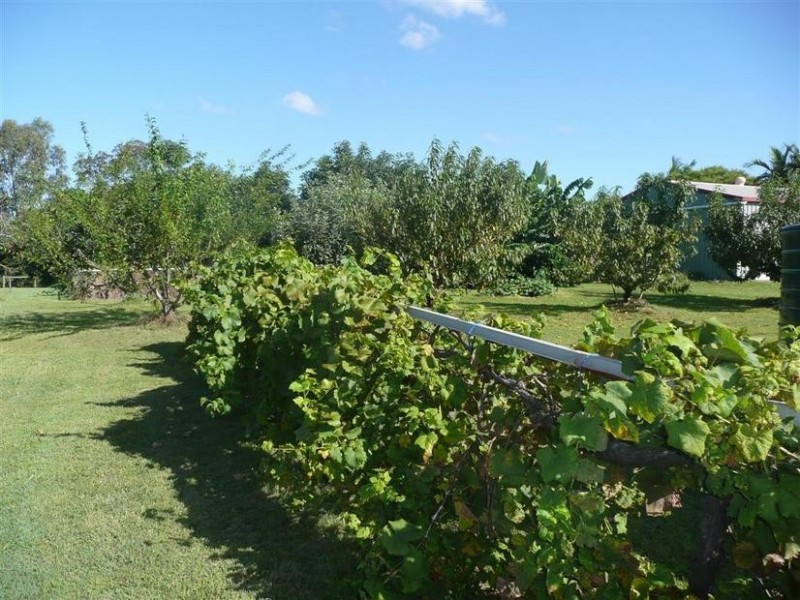 23 Clearview Drive, Glass House Mountains QLD 4518