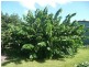 23 Clearview Drive, Glass House Mountains QLD 4518