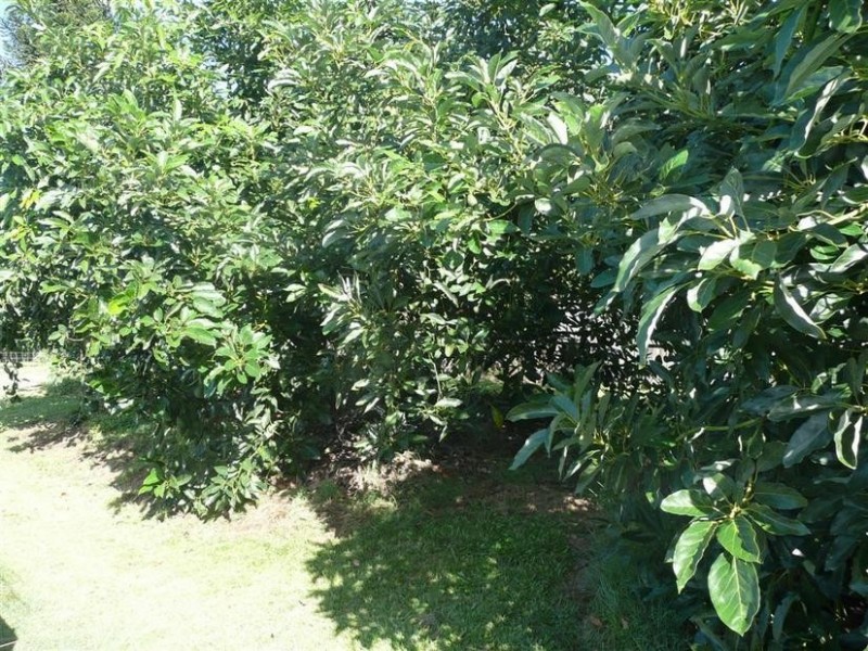 23 Clearview Drive, Glass House Mountains QLD 4518