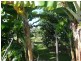 23 Clearview Drive, Glass House Mountains QLD 4518