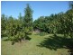 23 Clearview Drive, Glass House Mountains QLD 4518