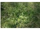 Lot 2, 60 Bretons Road, Peachester QLD 4519