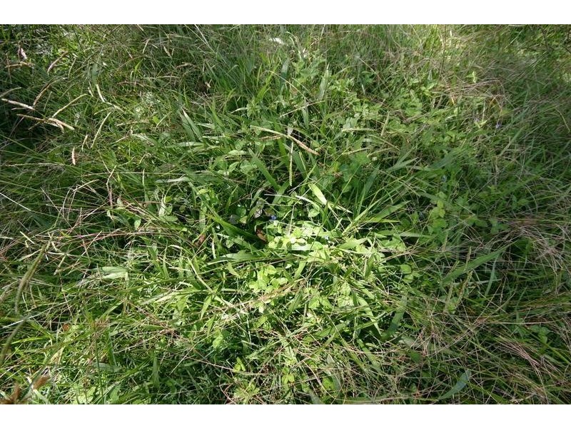Lot 2, 60 Bretons Road, Peachester QLD 4519