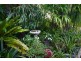 158 Bowen Road, Glass House Mountains QLD 4518