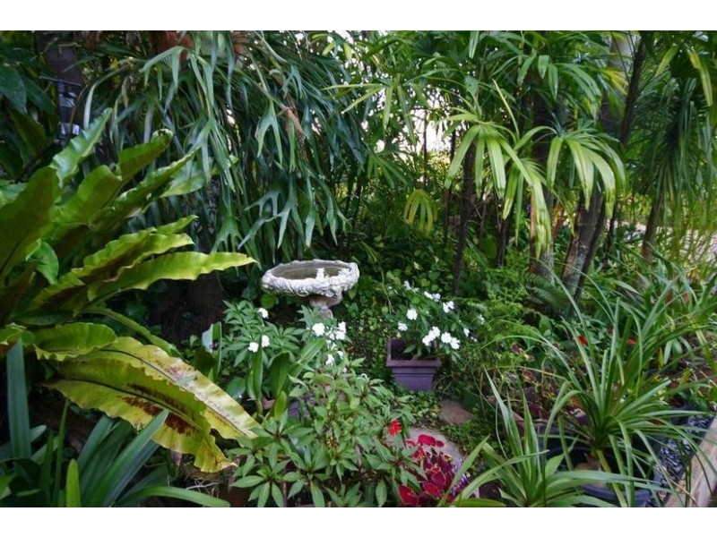 158 Bowen Road, Glass House Mountains QLD 4518