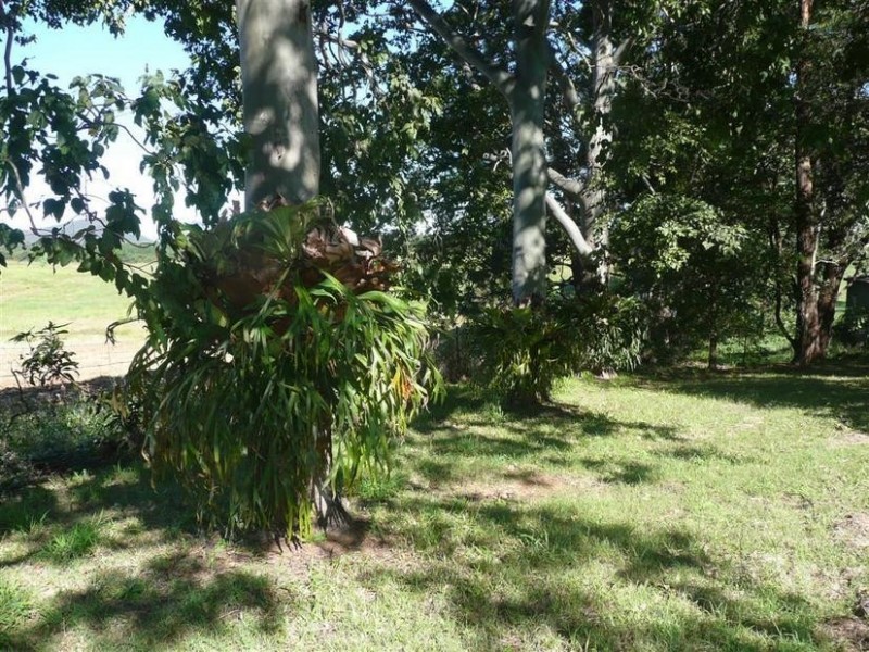 175 Yeates Road, Beerwah QLD 4519