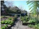 127 Clarkes Road, Beerwah QLD 4519