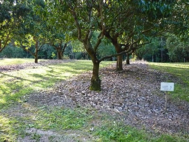 Lot 3-5, 197 Lindeman Road, Beerwah QLD 4519
