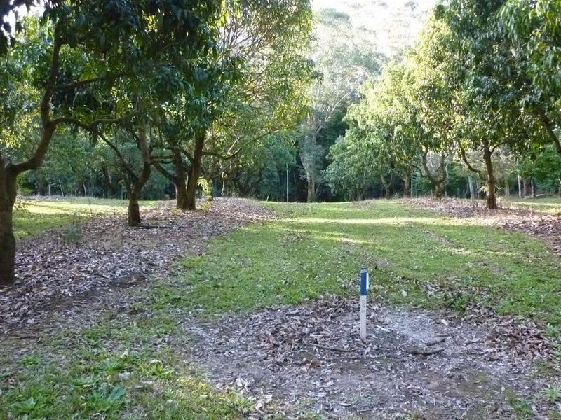 Lot 3-5, 197 Lindeman Road, Beerwah QLD 4519