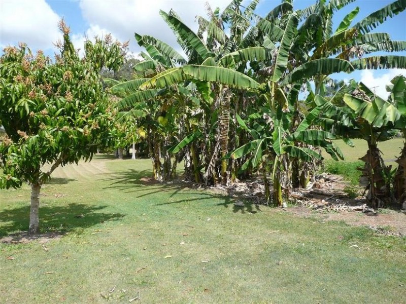 86 Sahara Road, Glass House Mountains QLD 4518