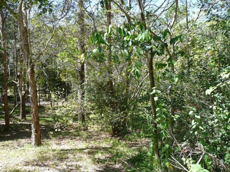 6 Reservoir Rd, Landsborough QLD 4550