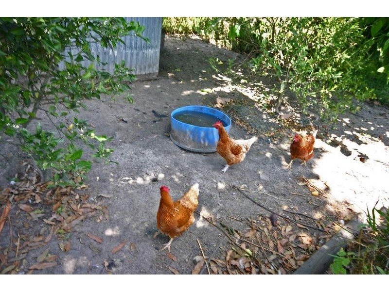 235 Mawsons Road, Beerwah QLD 4519