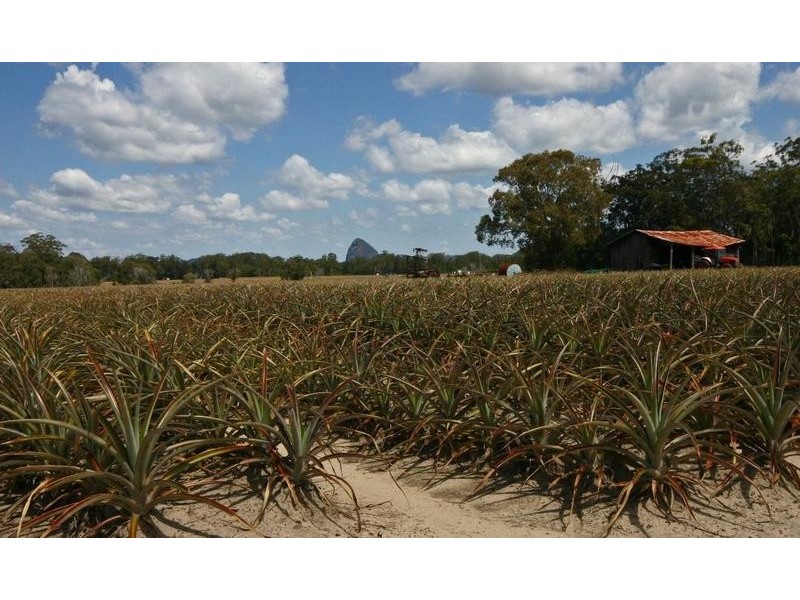 235 Mawsons Road, Beerwah QLD 4519