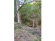 Lot Lot 1, 101 Lindeman Road, Beerwah QLD 4519