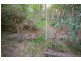 Lot Lot 1, 101 Lindeman Road, Beerwah QLD 4519