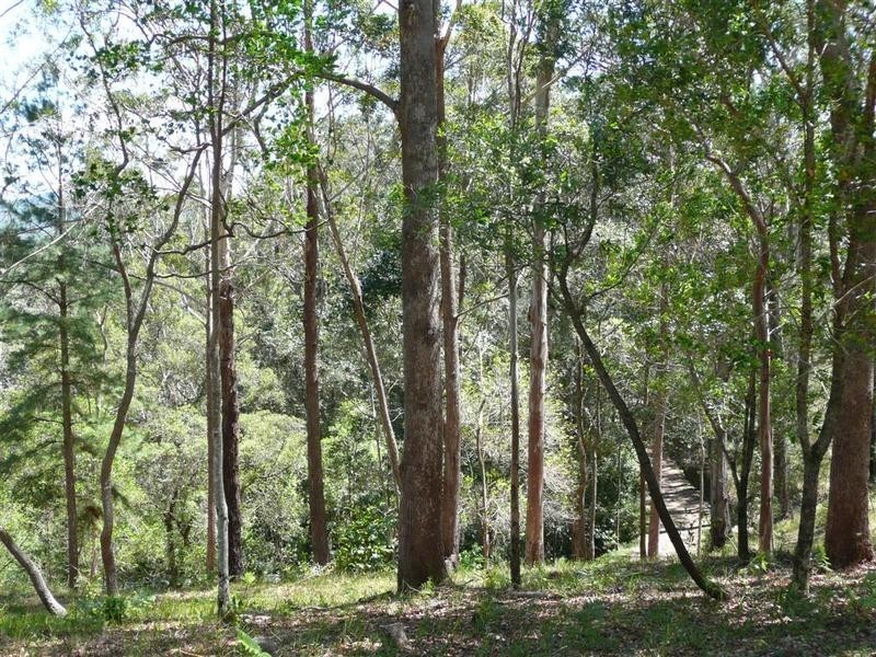 102 Wild Road, Peachester QLD 4519