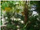 102 Wild Road, Peachester QLD 4519