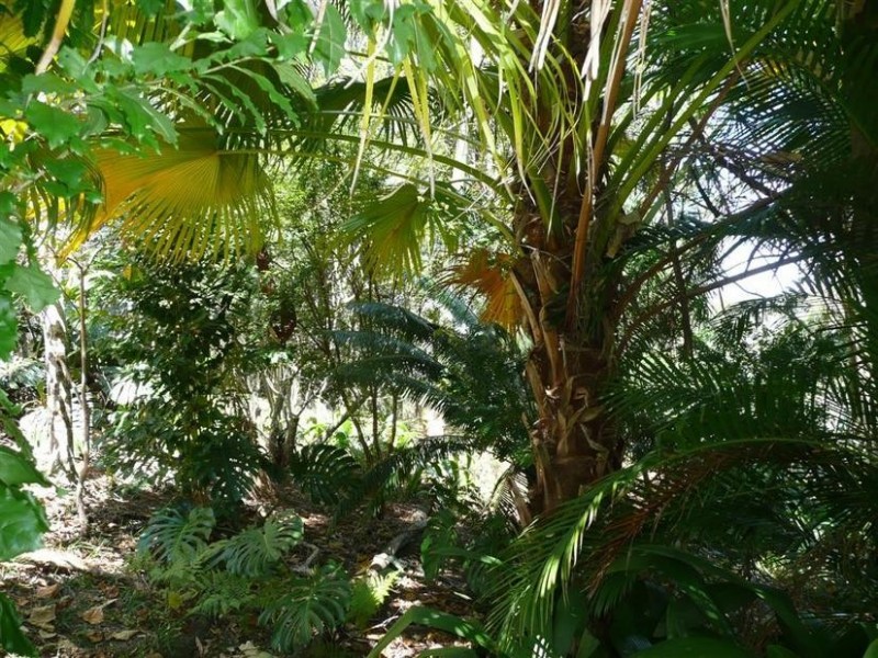 102 Wild Road, Peachester QLD 4519