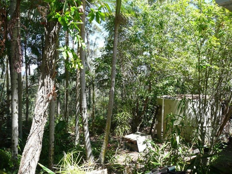 102 Wild Road, Peachester QLD 4519