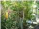 4 Carriage Crescent, Beerburrum QLD 4517