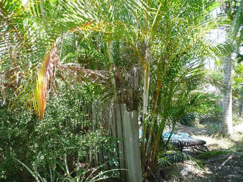 4 Carriage Crescent, Beerburrum QLD 4517