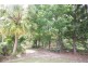 24 Thompson Road, Beerwah QLD 4519